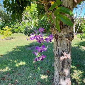 Meet your Posher, Reagan